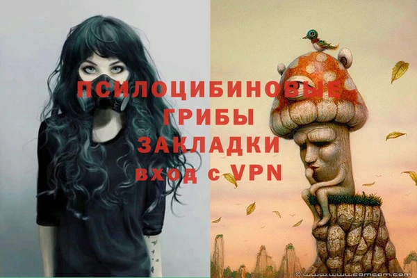 синтетический гашиш Алексин